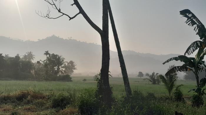 CUACA PADANG- Dampak kabut asap membuat jarak pandang terbatas di kawasan Sungai Lareh, Kelurahan Lubuk Minturun, Kecamatan Koto Tangah, Kota Padang, Sabtu (5/9/2026).