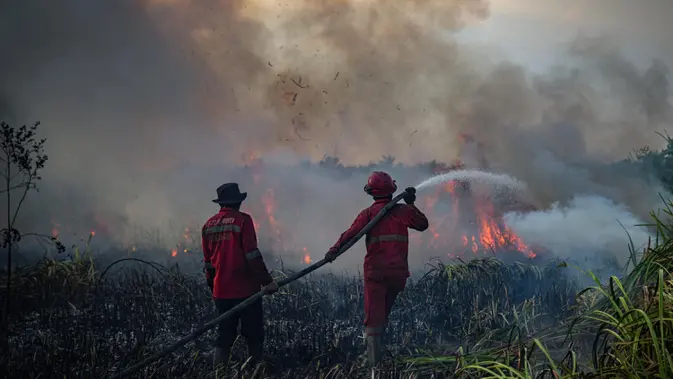 Karhutla Kembali Terjadi di Ogan Ilir, Tim Gabungan Terus Upayakan Pemadaman Kebakaran hutan dan lahan (karhutla) kembali meluas di Sumatera Selatan (Sumsel). (AL ZULKIFLI/AFP)