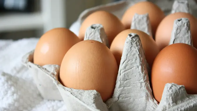 Wadah Telur Bekas Bisa Buat Apa? 9 Ide Kreatif Daur Ulangnya Ilustrasi Wadah Telur. (Foto: Morgane Perraud/Unsplash)