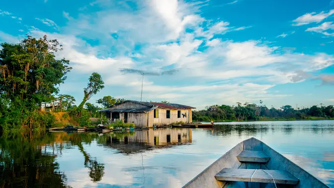 Ilustrasi Hutan Amazon, Brasil. (dok. unsplash @sebastiengoldberg)