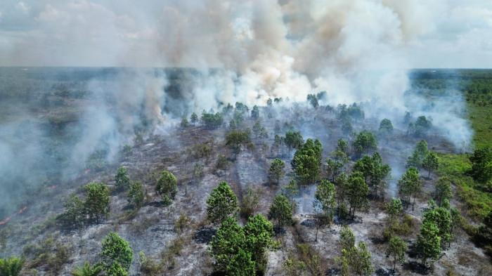 KARHUTLA DI KOTIM - Karhutla yang terjadi di wilayah Kota Besi yang terjadi beberapa waktu yang lalu.
