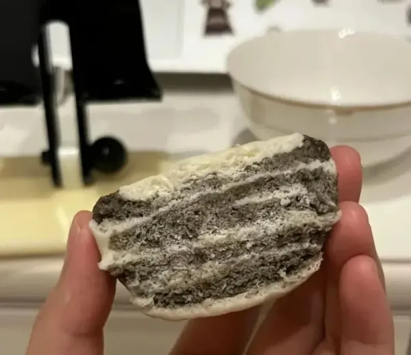 Tren Diet Unik di China, Camilan Sekeras Batu Bata Malah Jadi Incaran!
